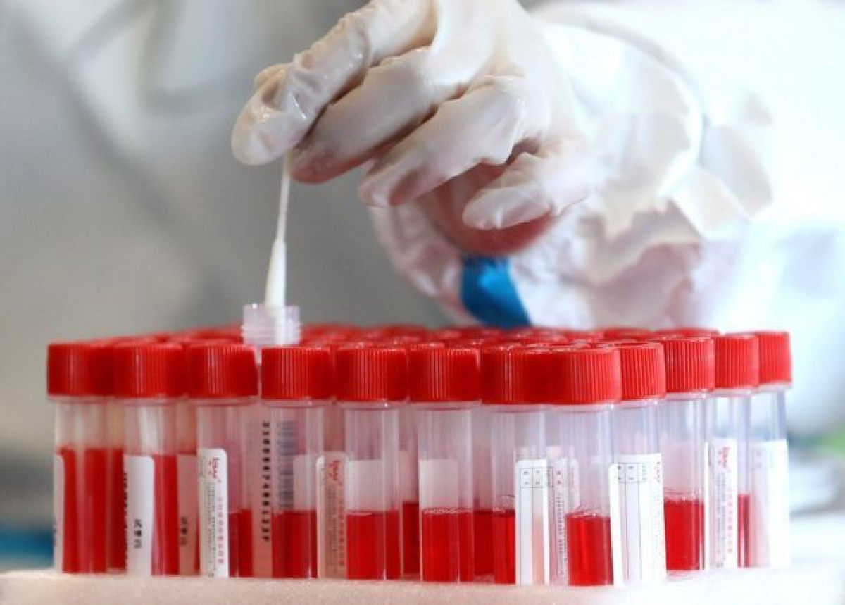 иллюстративное