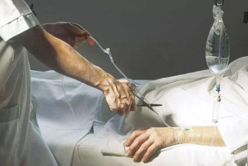 Фотография к новости: Австрия легализовала эвтаназию. Суд решил, что её запрет нарушает права человека