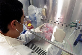 Фотография к новости: Зарегистрирован первый случай одновременного заболевания коронавирусом и гриппом