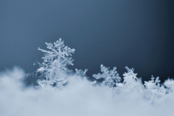 Фотография к новости: Снег и низовую метель обещают синоптики в Казахстане