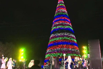 Новогоднюю елку области разобрали в Павлодаре