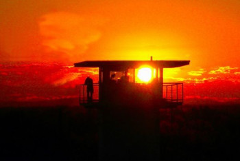 Фотография к новости: Карабины, пистолеты, боеприпасы: пограничники изъяли оружие у подозреваемых в участии в беспорядках