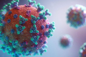 Фотография к новости: Более половины европейцев заразятся омикроном в ближайшие два месяца - ВОЗ