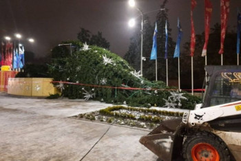 Фотография к новости: 24-метровая елка упала из-за штормового ветра