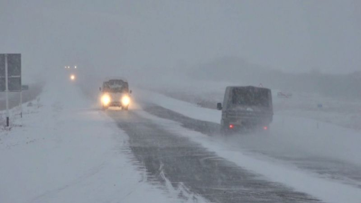 иллюстративное