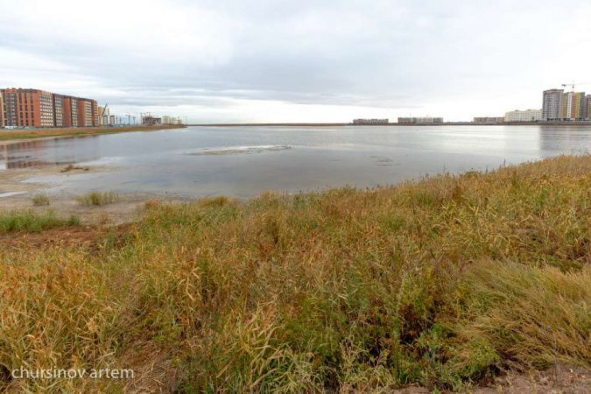 Артема Чурсинова 