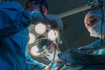 Фотография к новости: Мужчине успешно пересадили две свиные почки