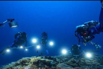 Фотография к новости: Обнаружен гигантский коралловый риф, перевернувший представление об океане