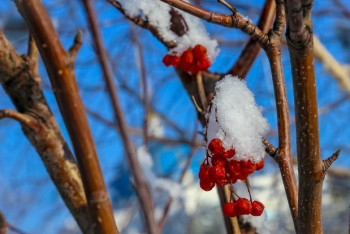 Фотография к новости: Потепление ожидает казахстанцев с 25 января