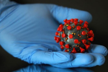 Фотография к новости: В ВОЗ заявили о критическом этапе пандемии COVID-19