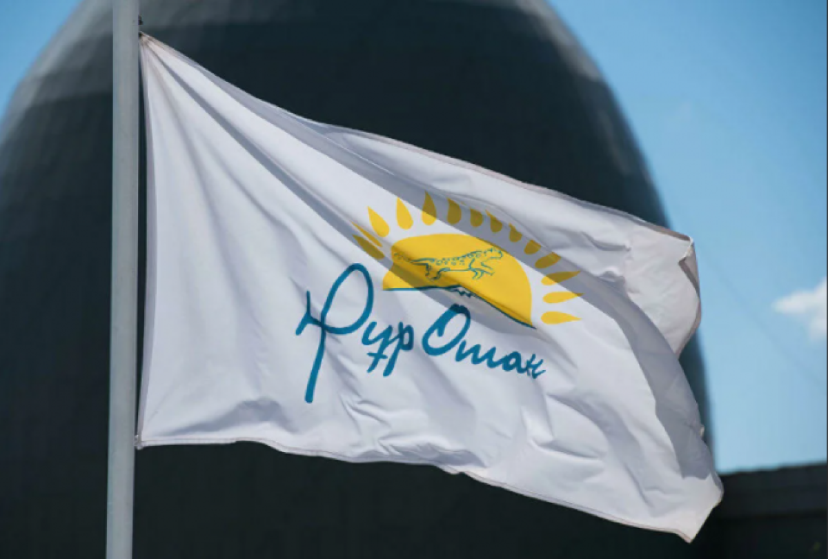 Внеочередной Съезд Nur Otan: избрано 399 делегатов