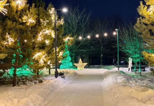 Фотография к новости: Танцы на льду в поддержку казахстанских олимпийцев пройдут в столичном парке  28 января