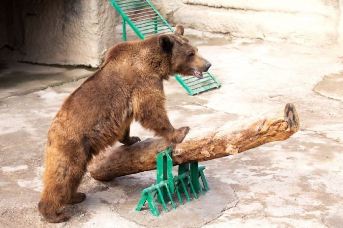 Александр Жудро