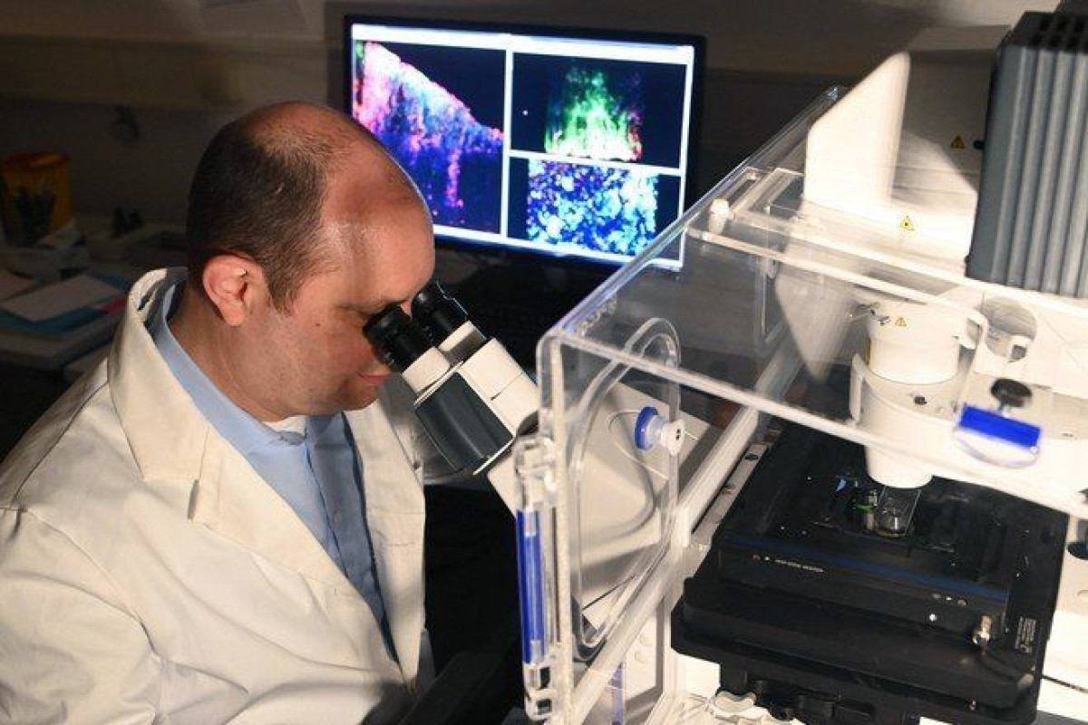 Uli Deck/dpa/Global Look Press