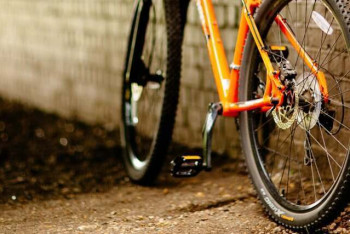 Фотография к новости: Велосветофоры появятся в Алматы