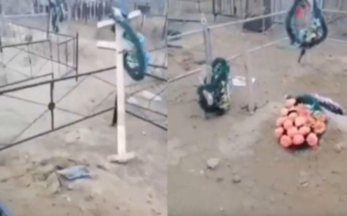 кадры из видео