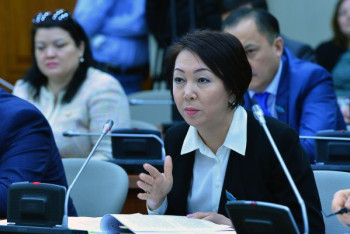 Фотография к новости: Больницы в Казахстане раздают "нужным людям", считает депутат