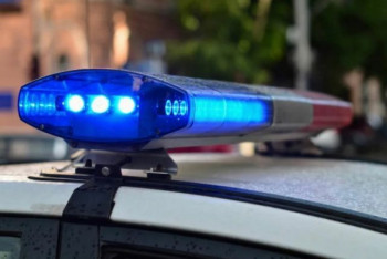 Фотография к новости: Жуткую находку сделала на мусорке жительница Шымкента