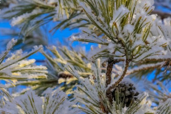 Фотография к новости: Какая погода ожидает казахстанцев 3 февраля