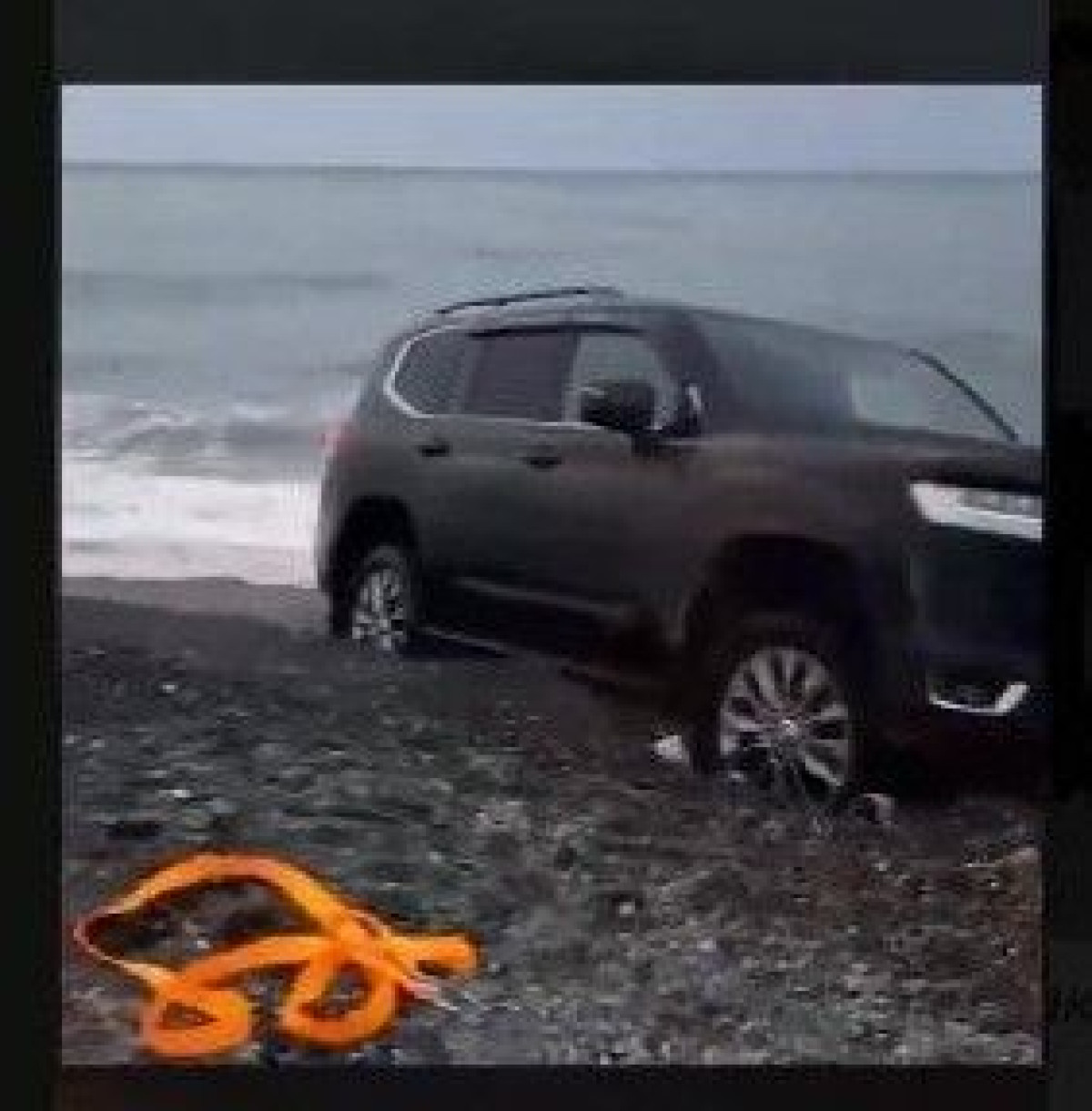 скриншот с видео