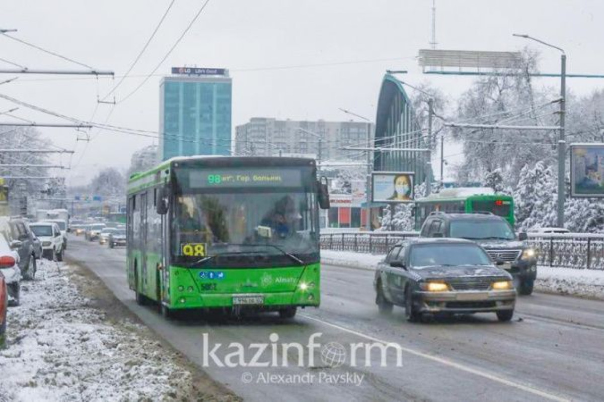 Митинг за выборность акимов проведут в Алматы
