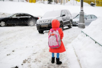 Фотография к новости: Неизвестный пытался похитить школьницу в Семее