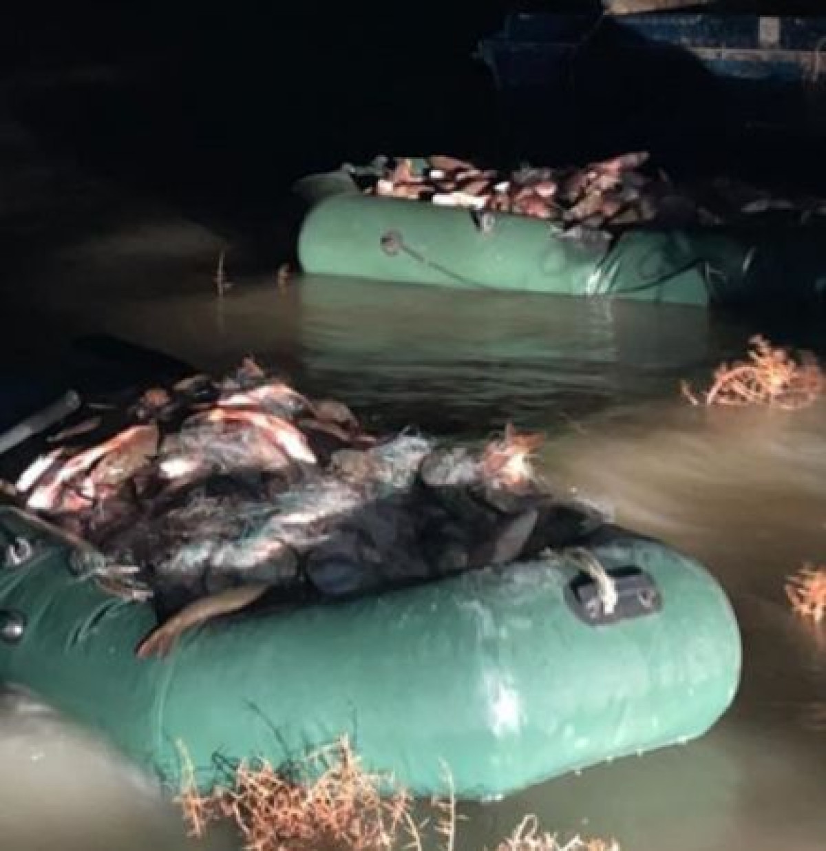 ДП Туркестанской области 