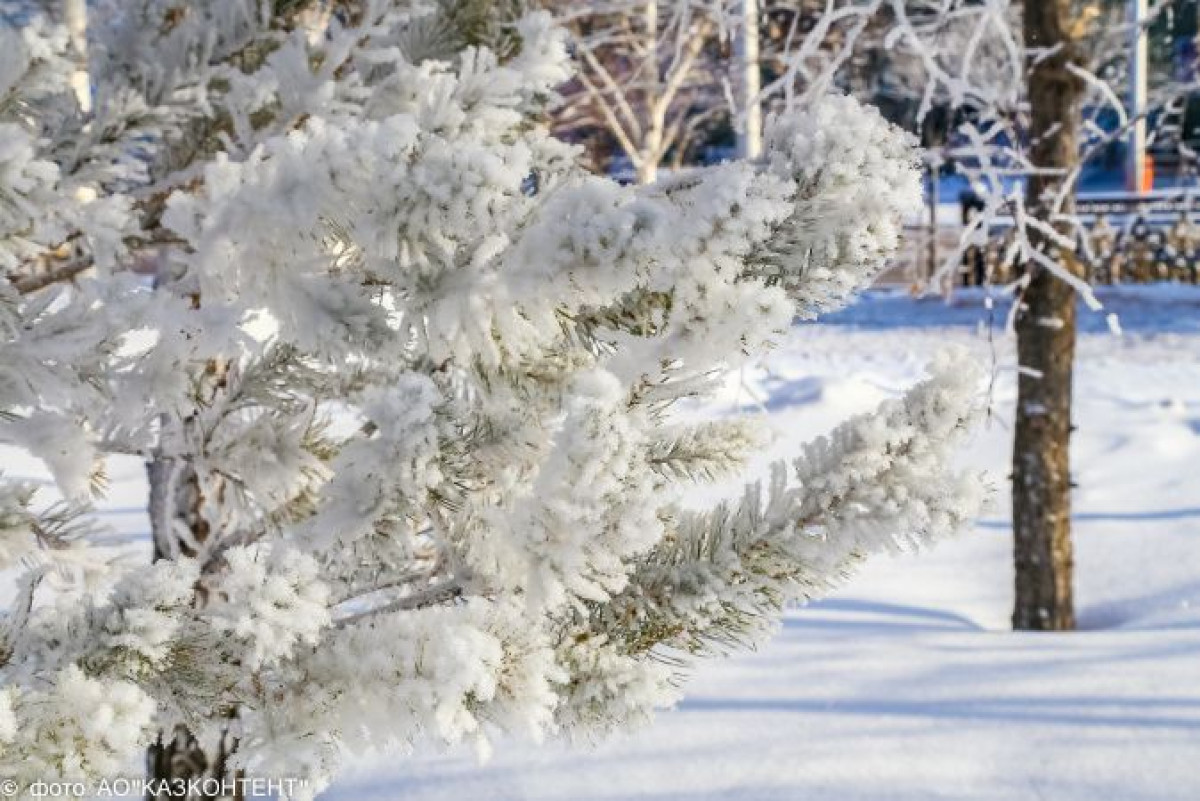 Какая погода ожидает казахстанцев 10 февраля