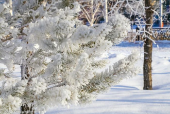 Фотография к новости: Какая погода ожидает казахстанцев 10 февраля