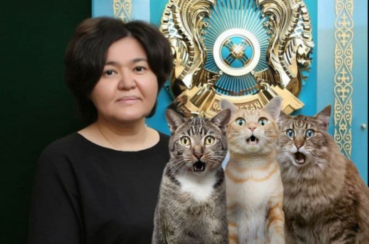 Заместитель министра экологии рассказала, почему не заводит кошку или собаку