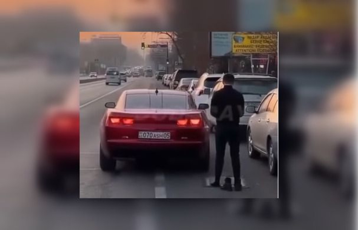 скриншот видео