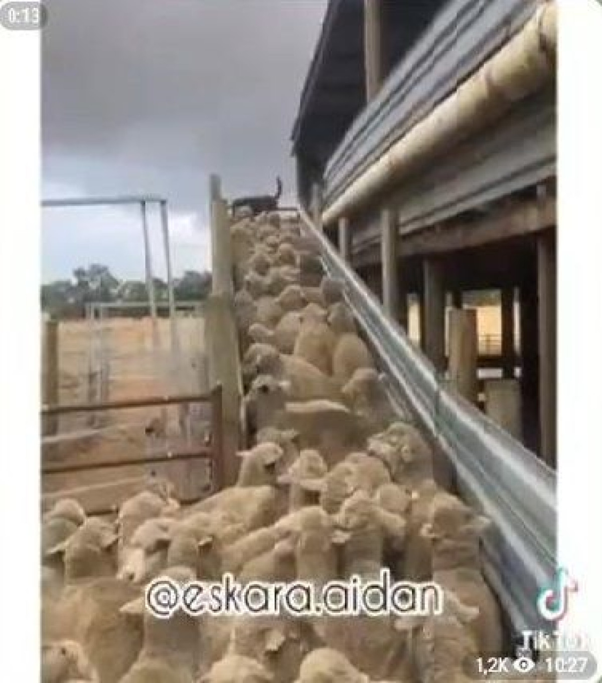 скриншот с видео