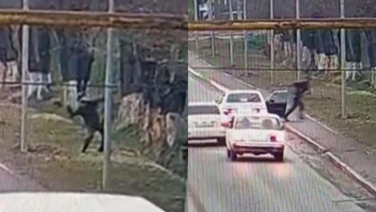 Переброска наркотиков в тюрьму в Шымкенте попала на видео