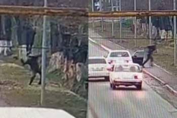 Фотография к новости: Переброска наркотиков в тюрьму в Шымкенте попала на видео