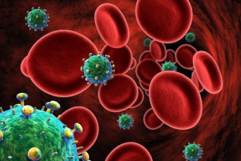 Фотография к новости: Женщину в США вылечили от ВИЧ с помощью пуповинной крови