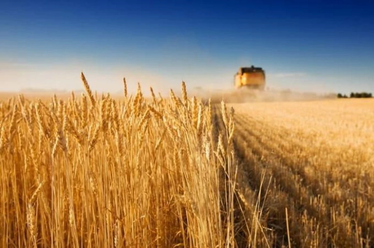 fertilizerdaily.ru