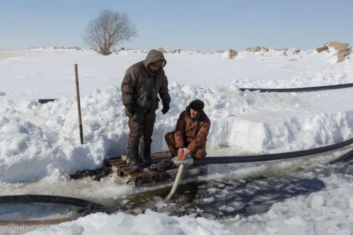 BaigeNews.kz/Артем Чурсинов