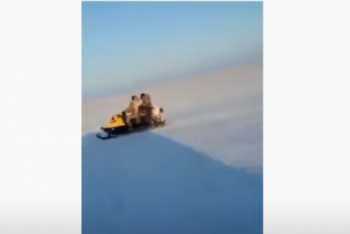 Фотография к новости: Браконьеры обстреляли инспекторов в Западно-Казахстанской области