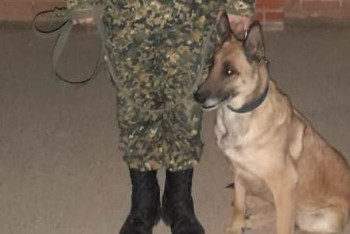 Фотография к новости: Служебная собака обнаружила тайник с оружием в Жанаозене