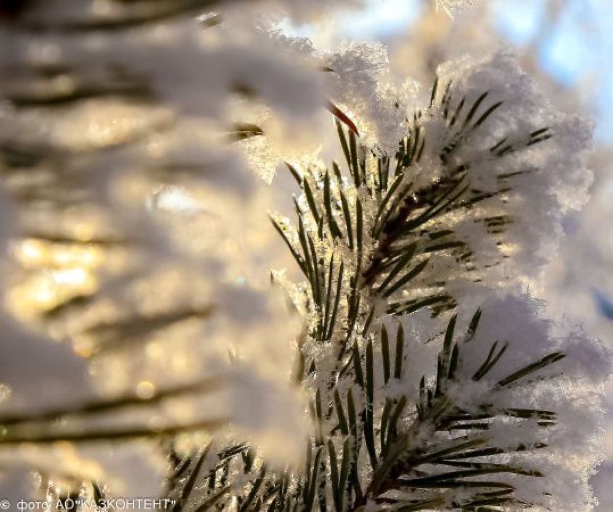 Туман и гололед ожидаются в Казахстане в ближайшие три дня