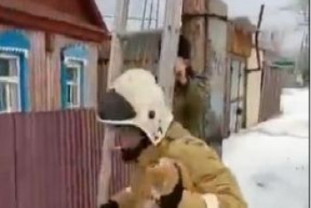 Фотография к новости: Бригаду ЧС вызвали для спасения кошки в одном из сел ВКО