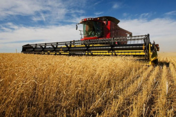 Фотография к новости: Аграрии рассказали о проблемах с проверкой семян в СКО