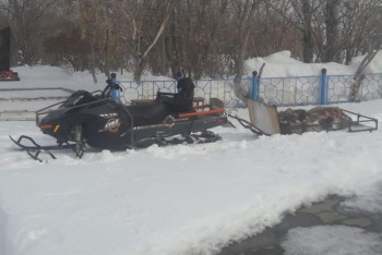 Фотография к новости: Браконьеры убивали кабанов в Наурзумском заповеднике