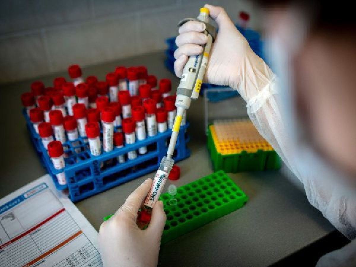 иллюстративное