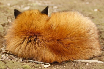 Фотография к новости: Когда четыре года учёбы — коту под хвост. Работодатель о выпускниках вузов РК