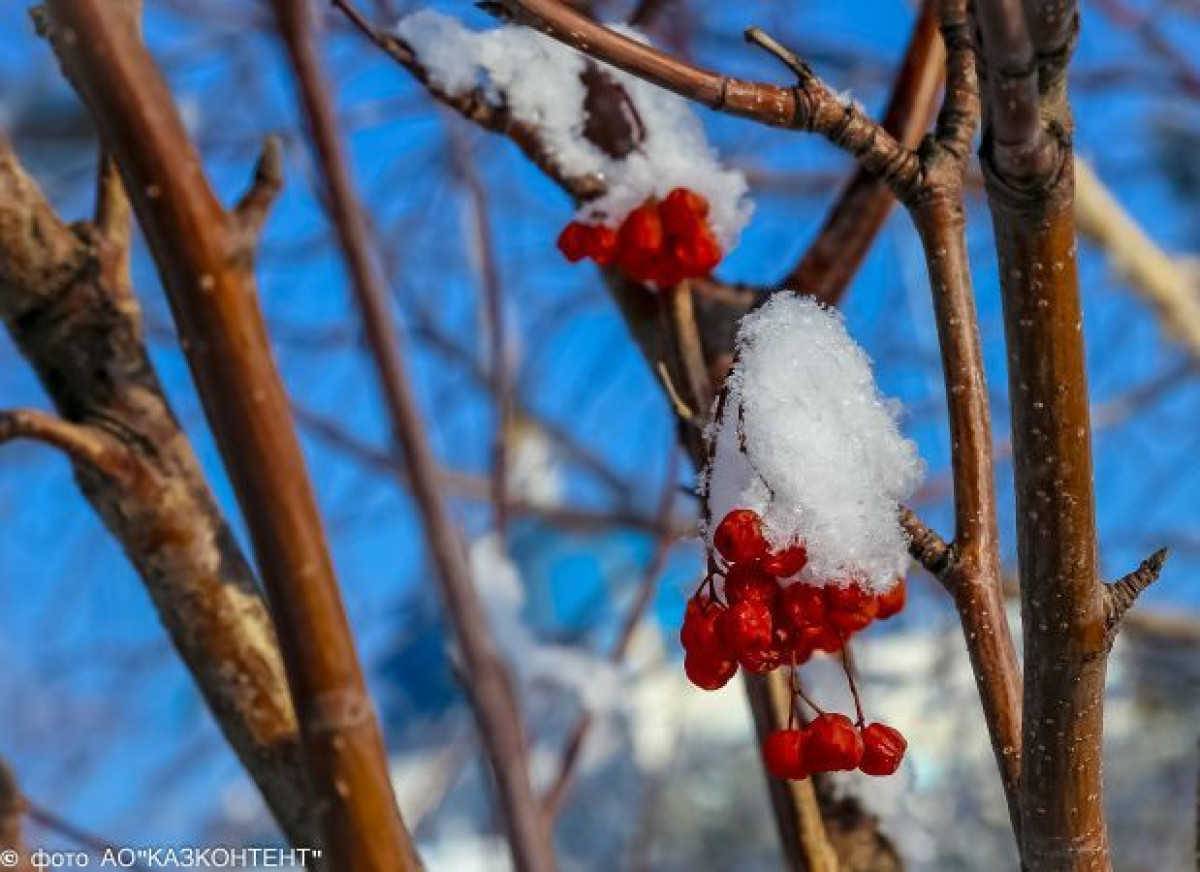 Короткая передышка от морозов ожидает северный Казахстан