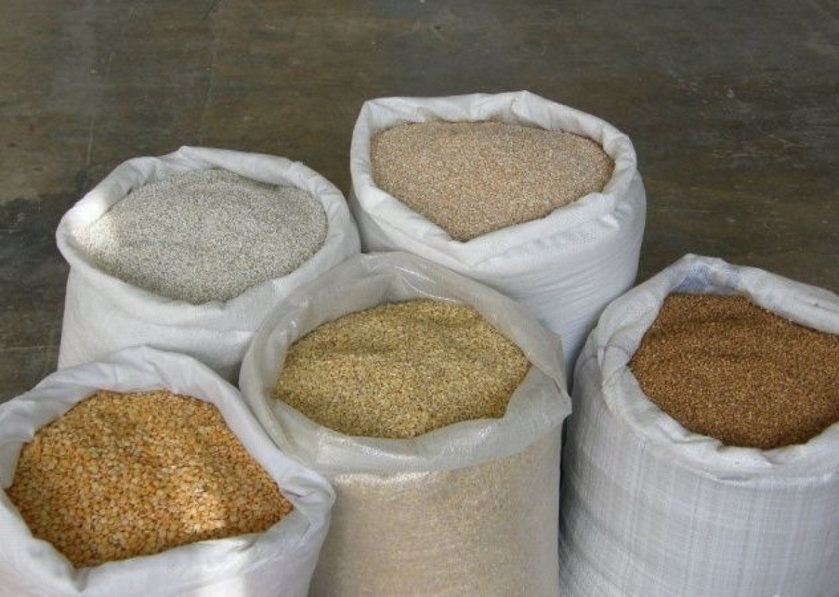 иллюстративное