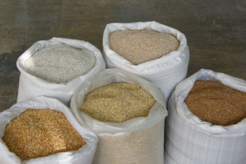 Фотография к новости: В Минсельхозе опровергли слухи об угрозе дефолта и дефицита продовольствия в РК