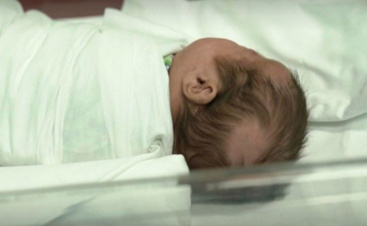 иллюстративное