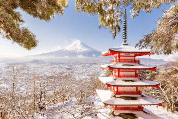 Фотография к новости: Япония готова принять беженцев из Украины и предоставить им привилегии